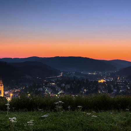 Drei Tannen - Wohnung 11 - Apartmenthaus, Titisee, Feldberg Kültér fotó