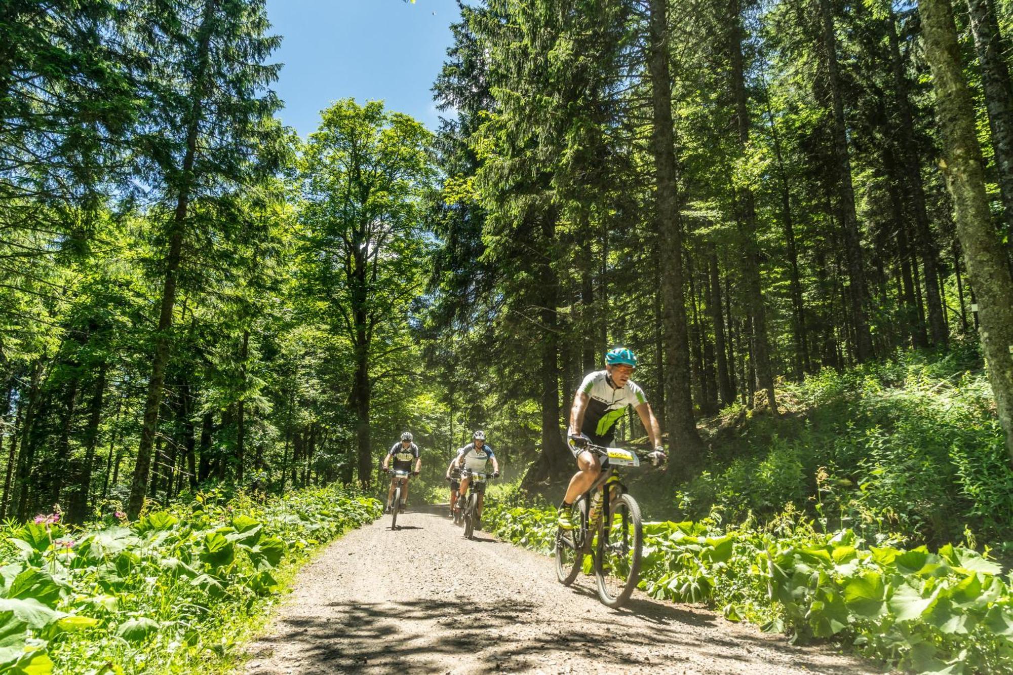 Drei Tannen - Wohnung 11 - Apartmenthaus, Titisee, Feldberg Kültér fotó