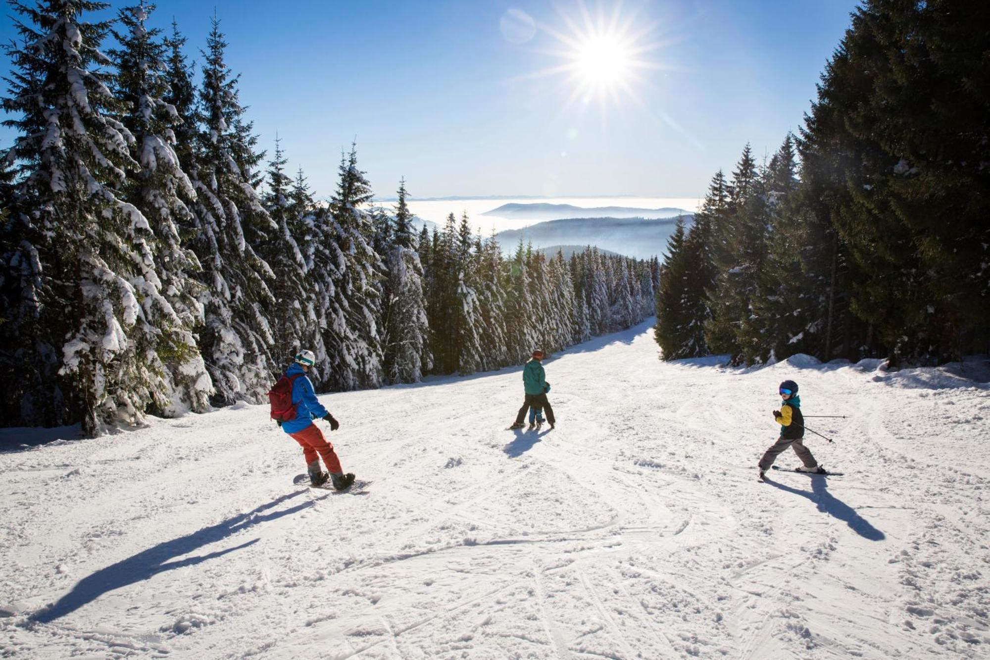Drei Tannen - Wohnung 11 - Apartmenthaus, Titisee, Feldberg Kültér fotó