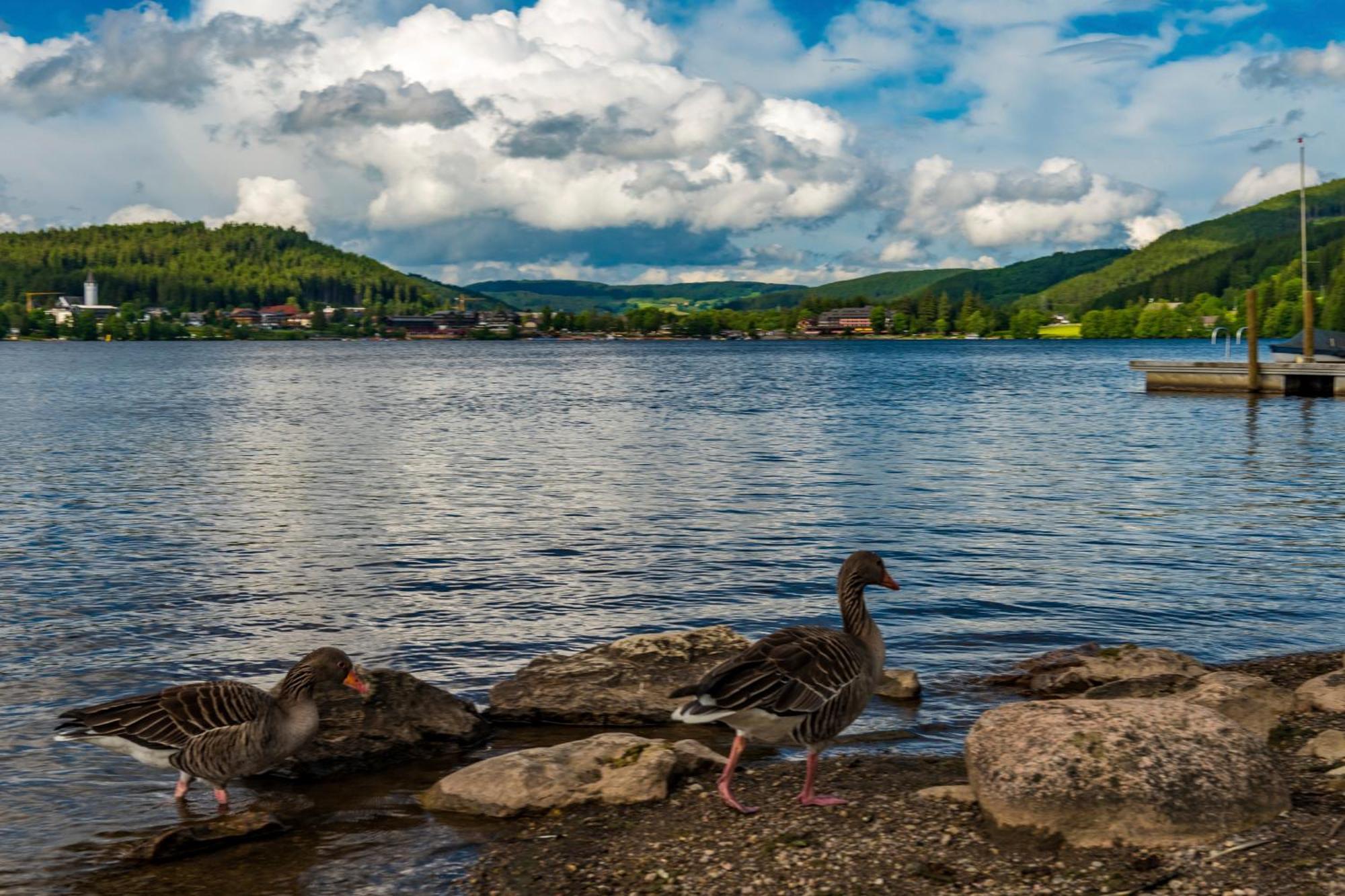 Drei Tannen - Wohnung 11 - Apartmenthaus, Titisee, Feldberg Kültér fotó